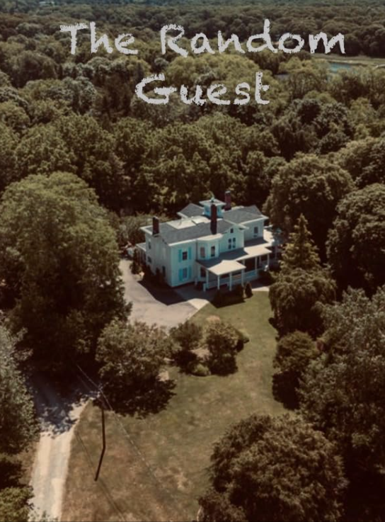 Logo/poster for The Random Guest, showing an aerial view of a house in the middle of trees.