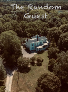 Poster for The Random Guest.